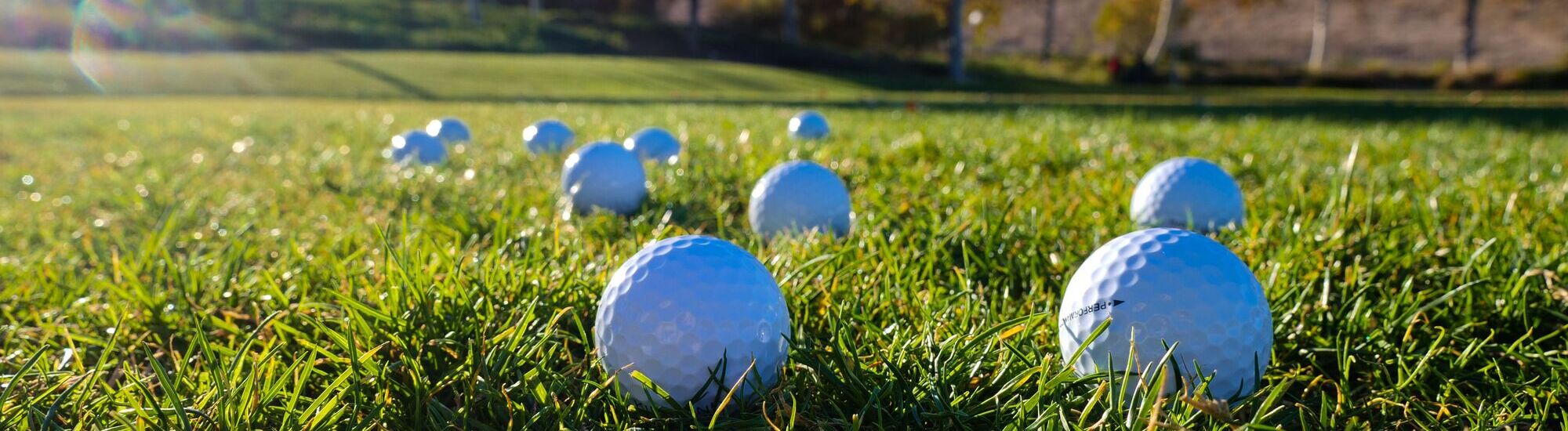 Several white golf balls are scattered on green grass in bright sunlight, with a blurry background of a golf course or field. The photo is taken from a low angle close to the ground.
