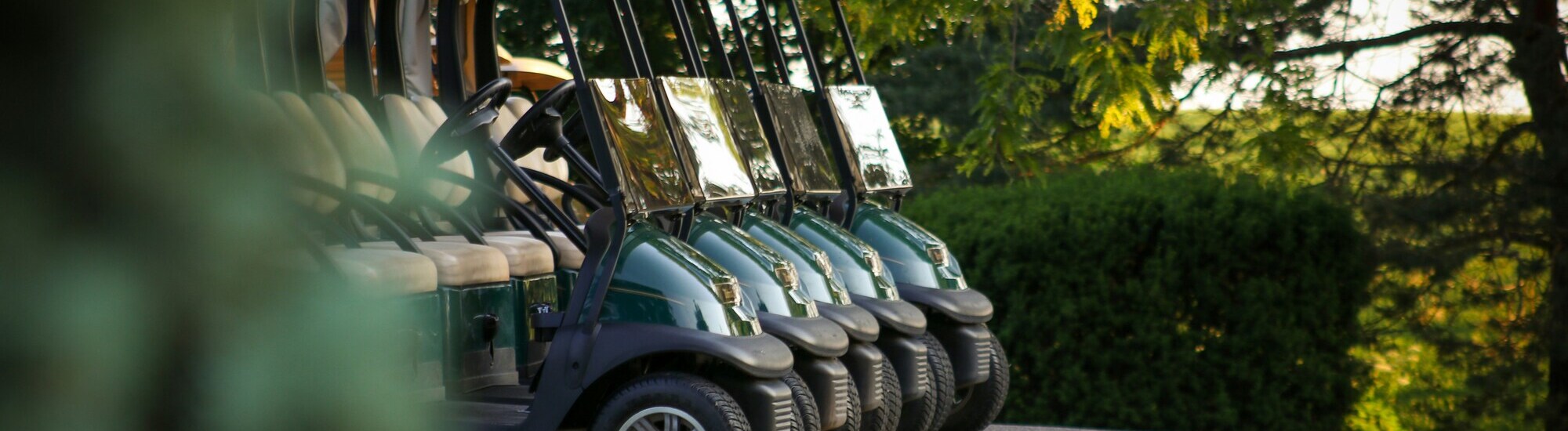 A row of green golf carts parked outdoors in a line, with trees and bushes in the background under natural sunlight.